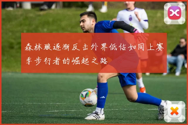 森林狼逐渐反击外界低估如同上赛季步行者的崛起之路