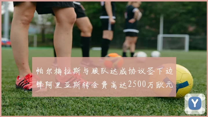 帕尔梅拉斯与狼队达成协议签下边锋阿里亚斯转会费高达2500万欧元