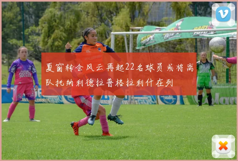 夏窗转会风云再起22名球员或将离队托纳利德拉普格拉利什在列